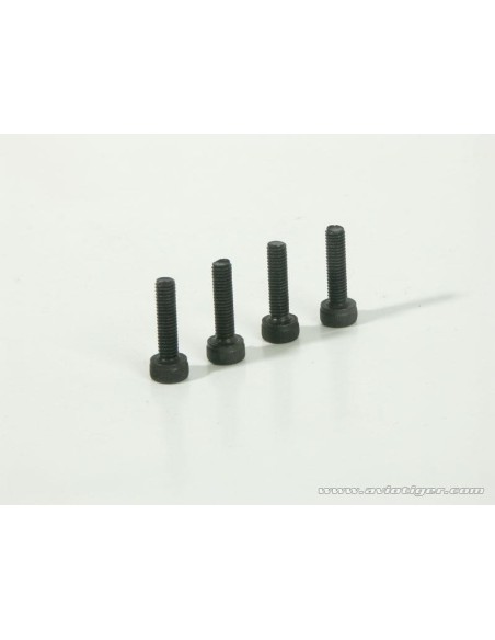 VIS BOUCHON DE CARTER S4