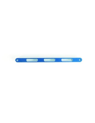 RENFORT AVT BLEU TERROR