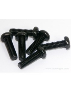 SET DE VIS 3X10MM S6