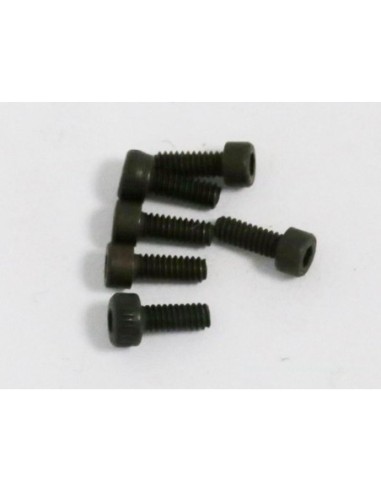 SET DE VIS 2X5MM S6