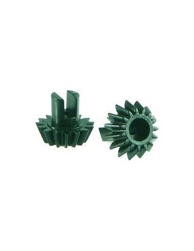 PIGNON AV+PIGNON ARR MONSTER XT