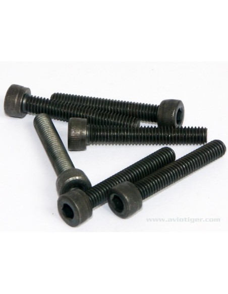 SET DE VIS 4X25MM S6