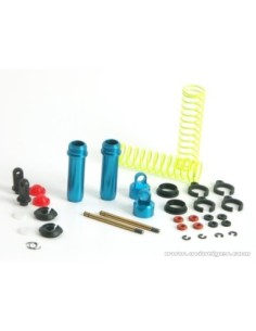 JEU SUSPENSION ARR BUGGY 1/18