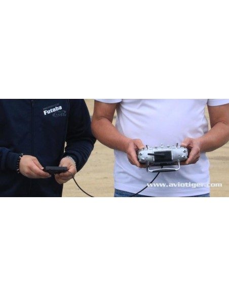 GYRO CGY760R WITH PROGRAMMING BOX