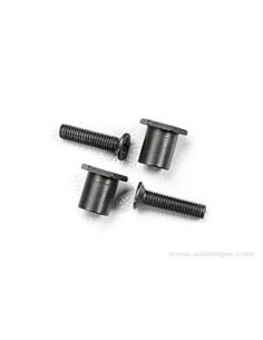 PIECES DIRECTION TROPHY