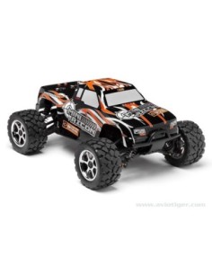 CARROSSERIE PEINTE DECOREE RECON