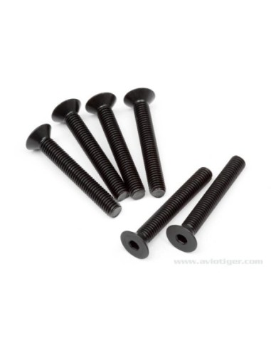 VIS TETE PLATE 5X35MM S6