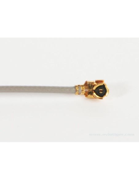 ANTENNA 2.4 10 CG