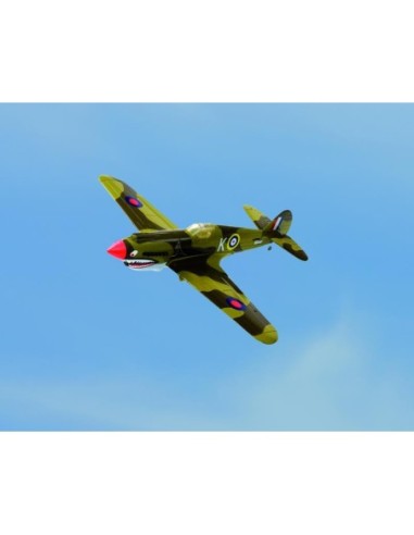 P40 WARHAWK 2.4 LNF