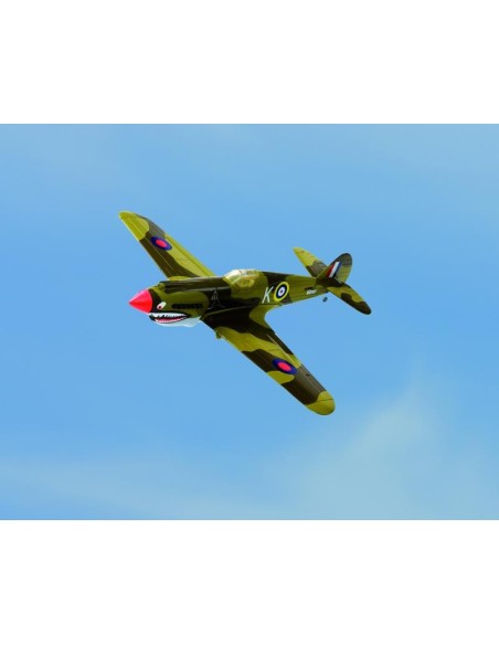 P40 WARHAWK 2.4 LNF