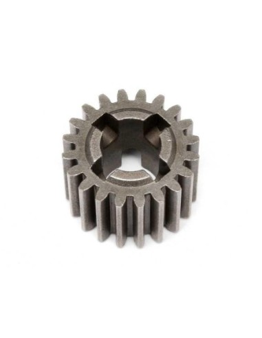 PIGNON 20 DTS PRIMAIRE BAJA