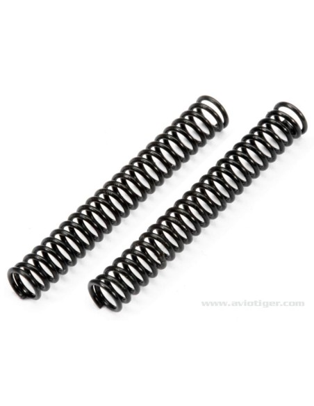 RESSORT GAZ 2.2X20X0.4MM S2