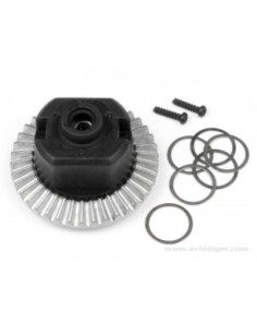 SET PIGNON DIFF MONTE WHEELY 2