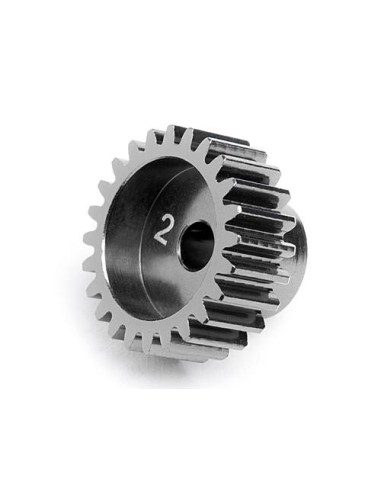PIGNON 24DTS E10