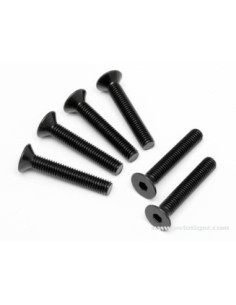 VIS TETE PL. 6 PANS 5X30MM S6