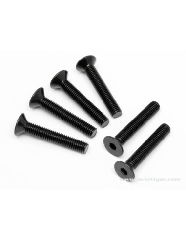 VIS TETE PL. 6 PANS 5X30MM S6