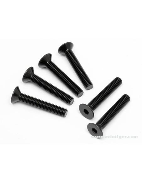 VIS TETE PL. 6 PANS 5X30MM S6