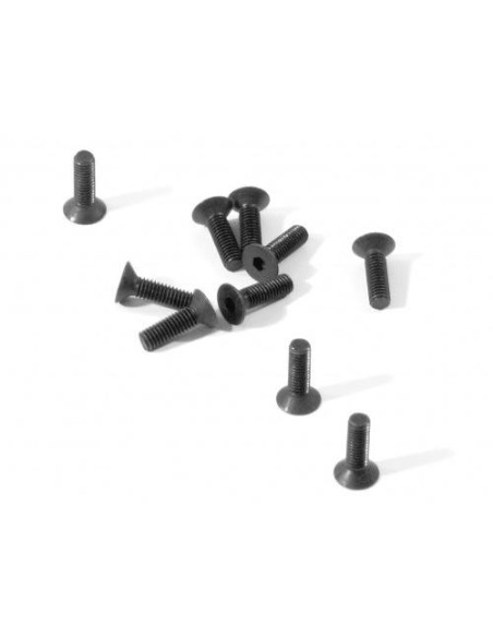 VIS HEX TETE PLATE M3X10MM (S10)