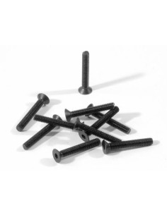 VIS HEX TETE PLATE M3X20MM (S10)