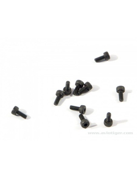 VIS BTR M2X5MM (S10)