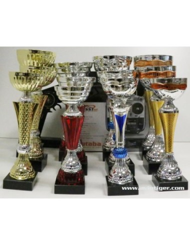 COLIS 12 COUPES MOYENNE