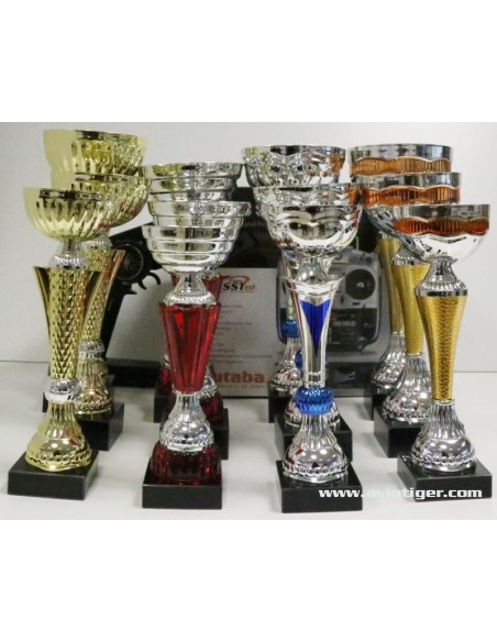 COLIS 12 COUPES MOYENNE