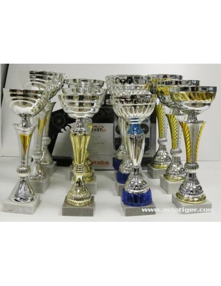 COLIS 12 COUPES GRAND MODELE