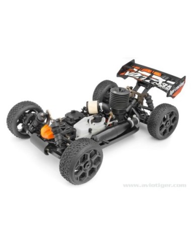 BUGGY VORZA NITRO