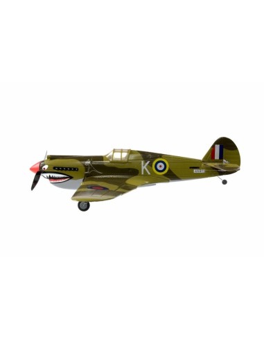 P40 WARHAWK 2.4 LNF