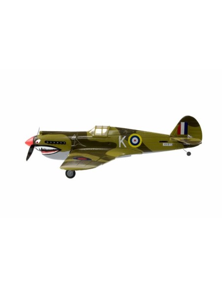 P40 WARHAWK 2.4 LNF