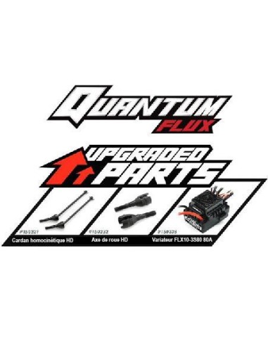 QUANTUM MT 1/10 4X4 FLUX SILVER