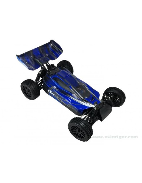 BLACKBULL 1/10 EP RTR BUGGY