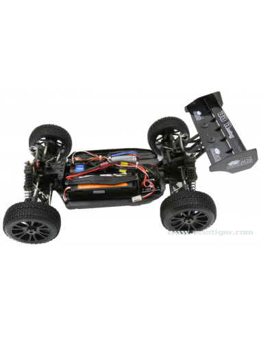 BULL SPORT EP 1/8 BRUSHLESS