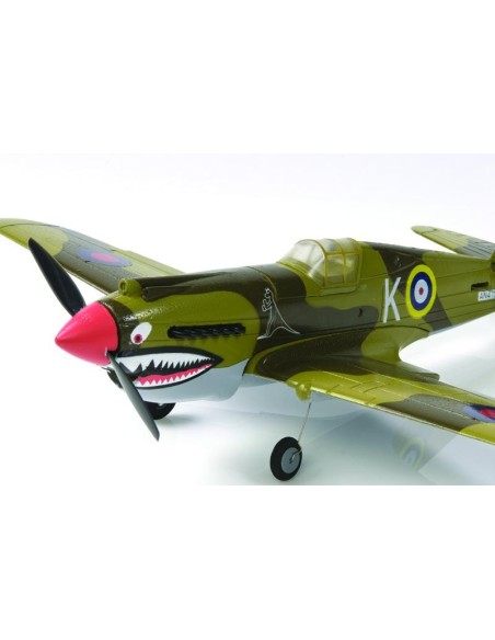 P40 WARHAWK 2.4 LNF