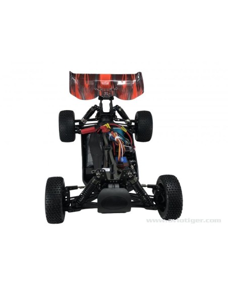 BLACKBULL 1/10 EP RTR BUGGY