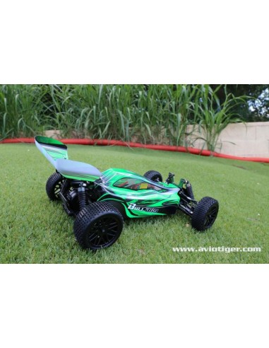 BLACKBULL 1/10 EP RTR BUGGY