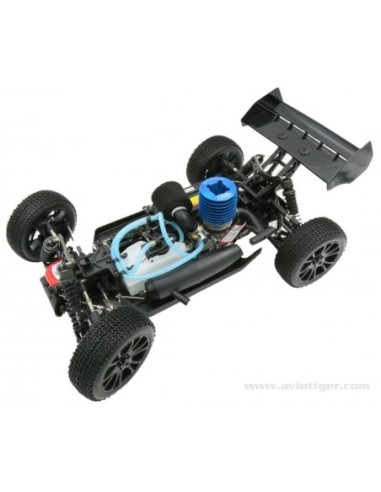 BULL SPORT 1/8 NITRO