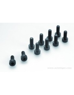 CYL. 6 PAN M2X8 STEEL S10