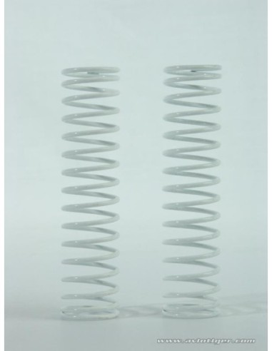 REAR SHOCK ABSORBER SPRING