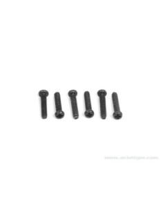 ROUND-HEAD SCREW 2X10MM (S6) 2