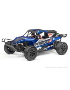 DESERT BLUE BODYWORK 2