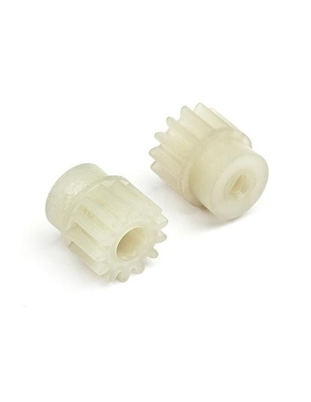 PIGNONS PLASTIQUE 13 DTS ION S2