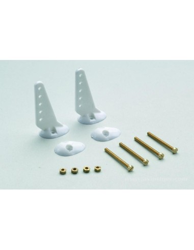 30MM HORNS + S2 SCREWS