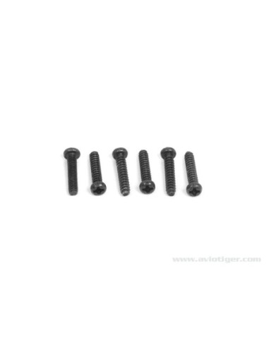 ROUND-HEAD SCREW 2X10MM (S6)