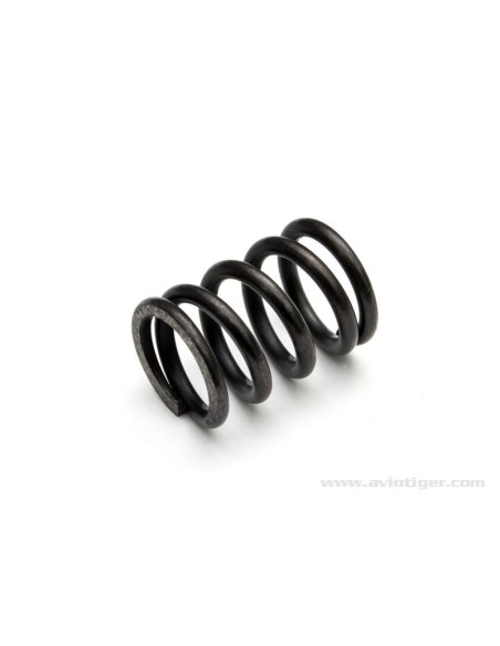 SPRING SAVES SERVO QUANTUM MT XT