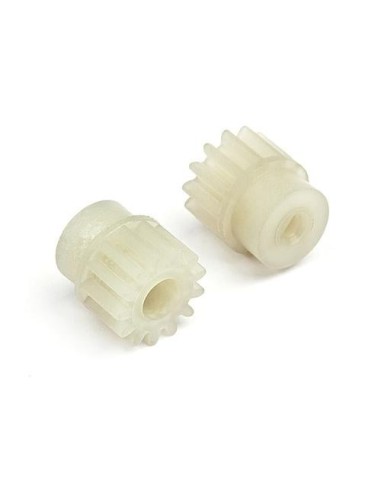 PIGNONS PLASTIQUE 13 DTS ION S2