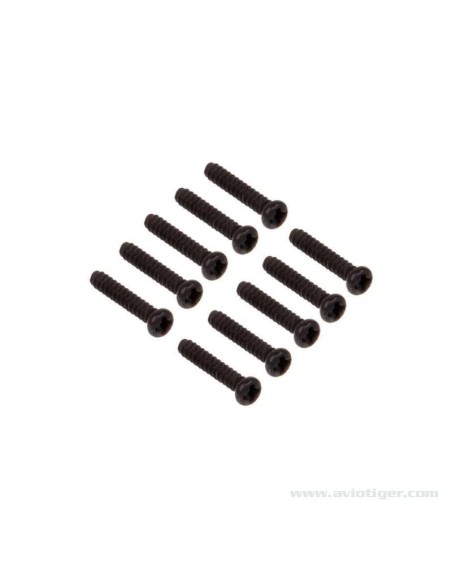 VIS TP TTE RONDE 2X10MM (10)