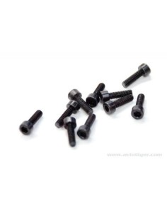 VIS BTR M3X10MM (10) 2