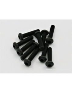 VIS BTR TTE RONDE M3X14MM (10) 2