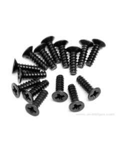 VIS TETE FRAISEE 3X10MM S15 2